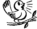 Little Bird