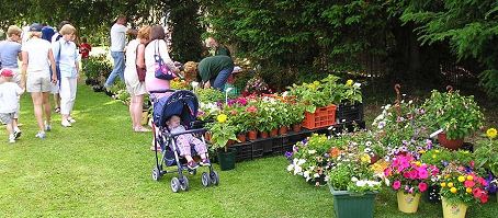 Plant stall at the 2003 Fete