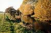 The view along the River Great Ouse from the Lathbury bank