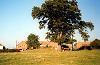 The Tumulus at the junction of Crofts End and Bedford Road