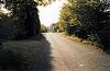 Looking south down Gun Lane at the edge of the village