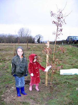 Sherington Stonepits Copse - Official Launch