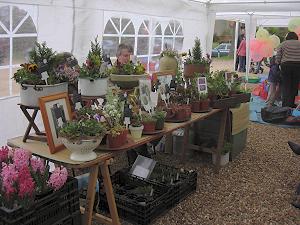 Spring Fayre 2008 