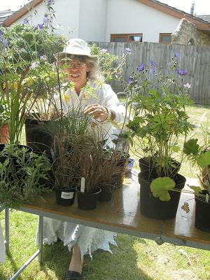 Summer Fayre 2010