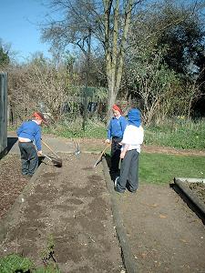 Keeping busy! Preparing the veg plots Keeping busy! Preparing the veg plots